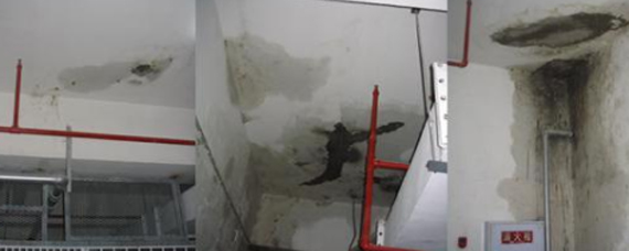 如何選購防水補(bǔ)漏材料