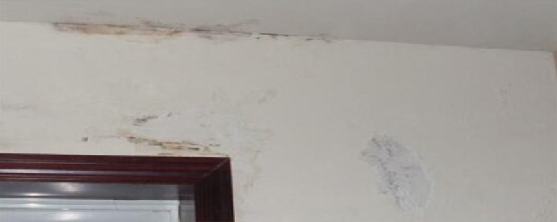 墻面發(fā)霉的原因