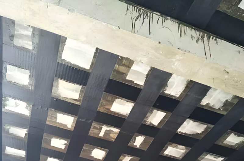 廠房常見的病害