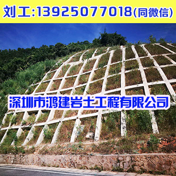 1528896657820985.jpg 2.jpg